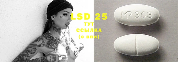 трава Новозыбков