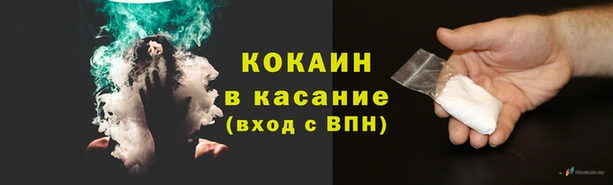 трава Новозыбков