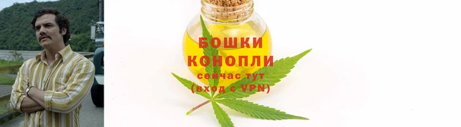 трава Новозыбков