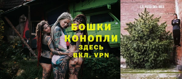 эйфоретик Новодвинск