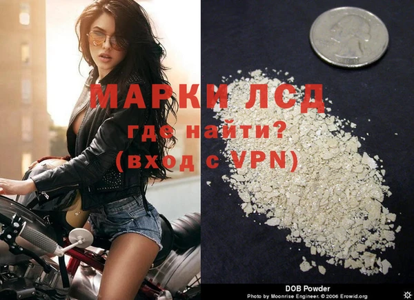 трава Новозыбков