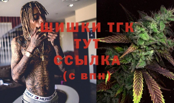 трава Новозыбков