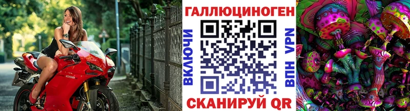 магазин продажи Лакинск Псилоцибиновые грибы Psilocybine cubensis